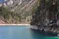 Steep rocky shore of the alpine lake Tovel, covered with centuries-old pines and firs,ÃÂ Ville d`Anaunia, Trentino, Italy Royalty Free Stock Photo